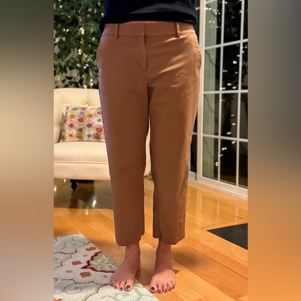 LOFT Brown Riviera Slim Pants